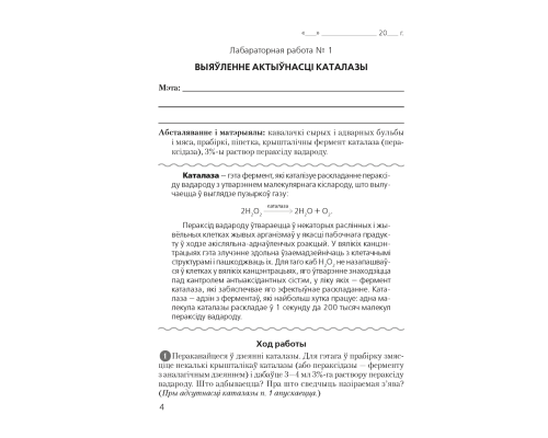 Бiялогiя 11 клас.Сшытак для лабараторных і практычных работ па біялогіі для 11 класа. Базавы ўзровень